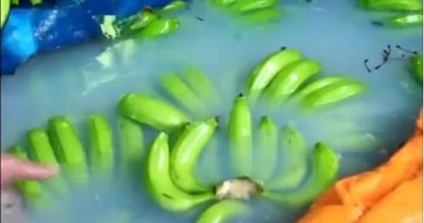 Phát hiện hơn 2 tấn chuối ngâm hoá chất chuẩn bị bán dịp Tết