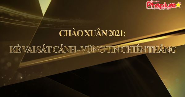 Chương trình Tri ân đối tác, Cộng tác viên của Báo Pháp Luật Việt Nam, Truyền Hình Báo Pháp luật Việt Nam, Sao Pháp Luật Việt Nam
