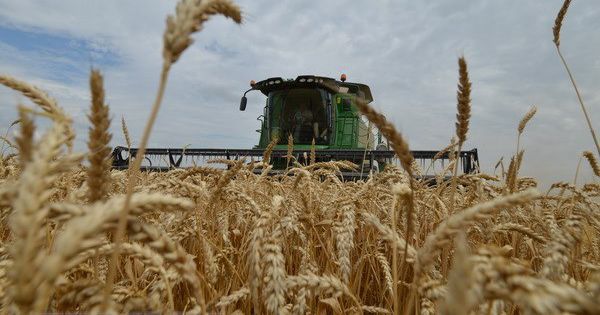 FAO kêu gọi củng cố hệ thống lương thực thực phẩm toàn thế giới