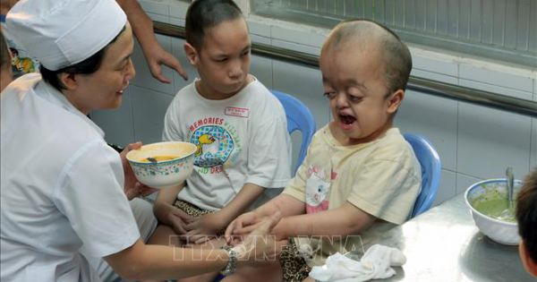 Pháp sắp xét xử vụ bà Trần Tố Nga kiện các công ty sản xuất chất độc da cam