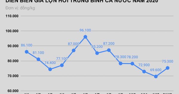 Thủ tướng yêu cầu ngăn buôn lậu lợn sang Trung Quốc dịp Tết