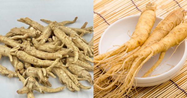 Hưởng thuế 0%, nhân sâm Canada xuất vào thị trường Việt Nam tăng mạnh