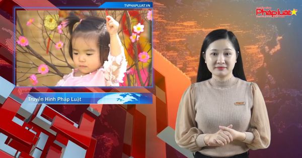 Đà Nẵng: Trường mầm non Wonderland – Nơi ươm mầm tài năng và nhân cách