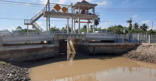 ĐBSCL triển khai đóng đập ngăn mặn, trữ ngọt cho Tết 2021