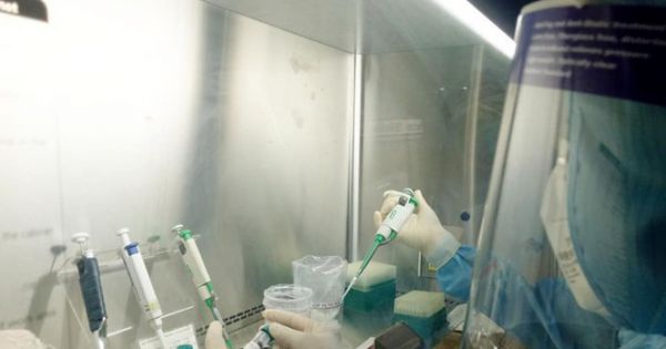 47 trường hợp lấy mẫu xét nghiệm âm tính với SARS-CoV-2 tại Nghệ An