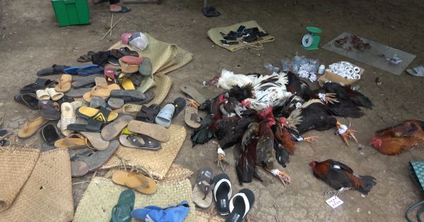 Công an Tiền Giang phá tụ điểm cờ bạc trên địa bàn huyện Chợ Gạo