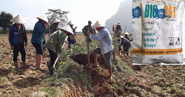 Thành phố Thanh Hoá khẩn cấp dừng sử dụng thuốc diệt chuột bị cấm