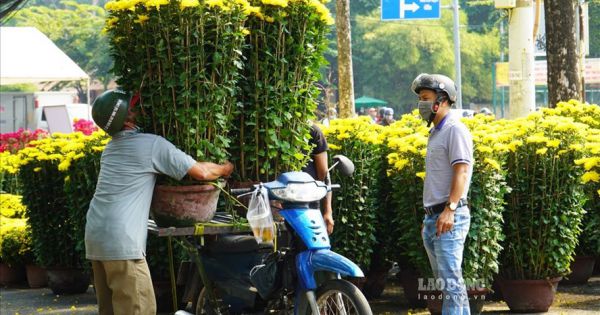 TP.HCM kêu gọi người dân “giải cứu” hoa tươi Đà Lạt
