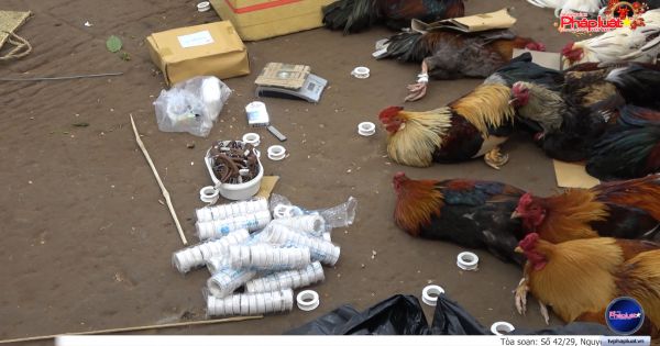 Công Tiền Giang triệt phá 02 tụ điểm cờ bạc