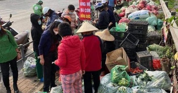 Người Hà Nội “giải cứu” nông sản cho nông dân Hải Dương