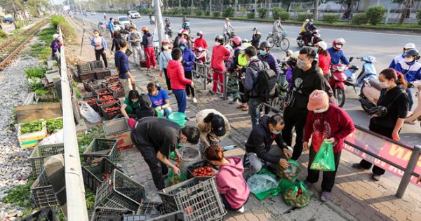 Lo nông sản xuất khẩu ùn ứ, Hải Dương kiến nghị gấp Bộ GTVT