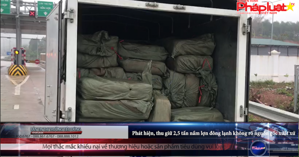 Phát hiện, thu giữ 2,5 tấn nầm lợn đông lạnh không rõ nguồn gốc xuất xứ