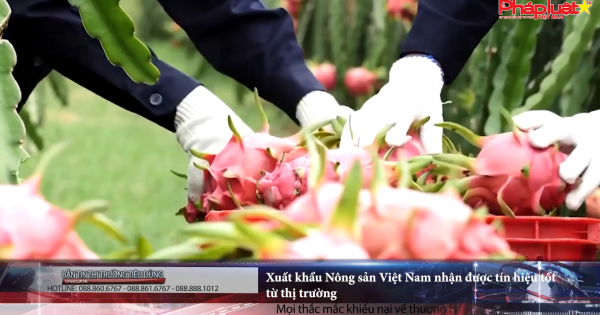 Bản tin thị trường tiêu dùng - Số 102