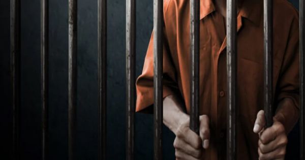 Giám đốc Công ty Hà Nội Solar Technology bị khởi tố