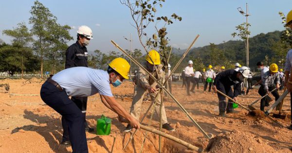 TP HCM khởi động kế hoạch trồng nửa triệu cây xanh