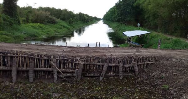 Sai phạm đặc biệt nghiêm trọng tại dự án Vườn Quốc gia U Minh Thượng, vì sao không xử lý hình sự?