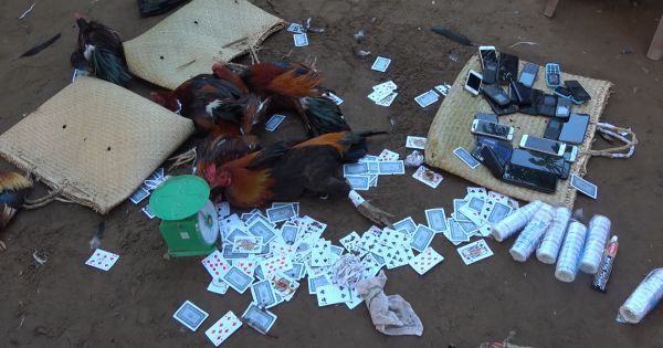 Tiền Giang: Đẩy mạnh công tác phòng, chống cờ bạc trước, trong và sau Tết