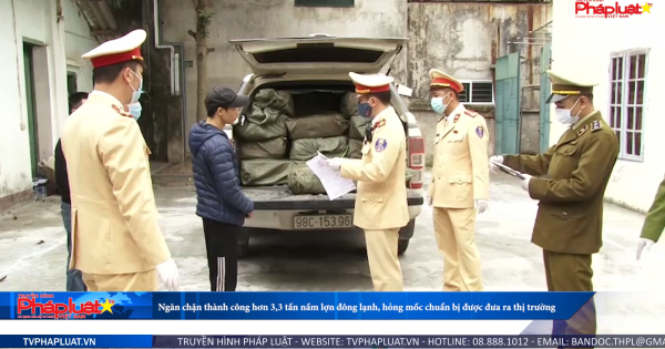 Ngăn chặn thành công hơn 3,3 tấn nầm lợn đông lạnh, hỏng mốc chuẩn bị được đưa ra thị trường