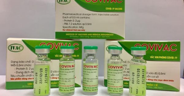 6 người sẽ tiêm thử vaccine COVIVAC vào ngày mai