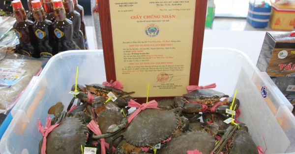 Hấp dẫn “Ngày hội cua Năm Căn”- quảng bá cua Cà Mau đến với du khách