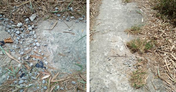 Sai phạm ở Vườn Quốc gia U Minh Thượng: Nhiều sai phạm nghiêm trọng, nhưng chỉ “rút kinh nghiệm”