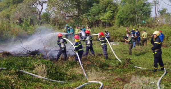 Vườn chim Bạc Liêu đang ở mức báo cháy cấp nguy hiểm