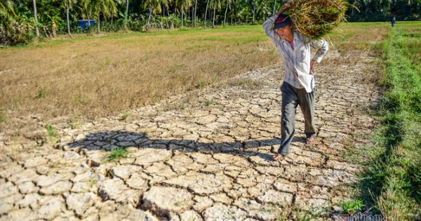 Thủ tướng Nguyễn Xuân Phúc yêu cầu theo dõi nguồn nước sông Mekong, đề phòng hạ hán nghiêm trọng