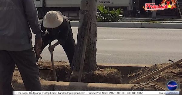 Thành phố Đà Nẵng cải tạo, điều chỉnh giao thông tới Cảng Tiên Sa