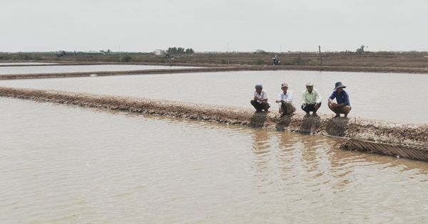 Bạc Liêu: Nhiều hộ dân thoát nghèo nhờ 