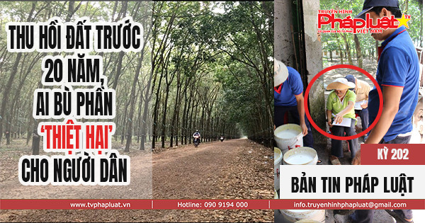 Bản tin Pháp Luật- Kỳ 203: Thu hồi đất trước 20 năm, ai bù phần thiệt hại cho người dân?