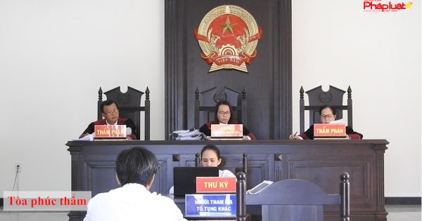 Vụ tranh chấp quyền sử dụng đất dẫn đến hành hung tại Bến Tre: Hủy bản án dân sự sơ thẩm