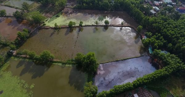 Đất có chủ, sử dụng ổn định từ 1974, khi chuyển nhượng Quyền sử dụng đất, mới biết đất bị tranh chấp.