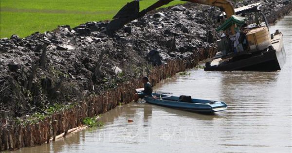 Mặn xâm nhập mạnh với nồng độ tăng cao ở Hậu Giang
