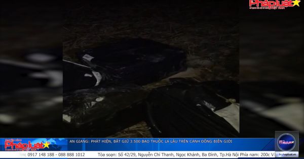 An Giang: Phát hiện, bắt giữ 3.500 bao thuốc lá lậu trên cánh đồng biên giới