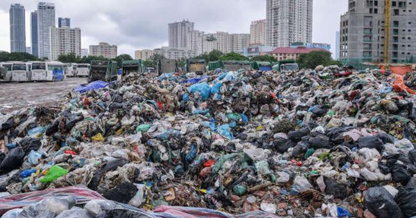 TP. HCM phê duyệt chương trình giảm ô nhiễm môi trường