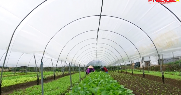 Bản tin thị trường tiêu dùng số 113: Tìm lối đi bền vững cho nông sản sạch Việt Nam vào kênh phân phối hiện đại