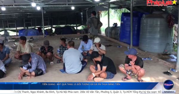 Tiền Giang: Bắt quả tang 15 đối tượng đá gà ăn thua bằng tiền