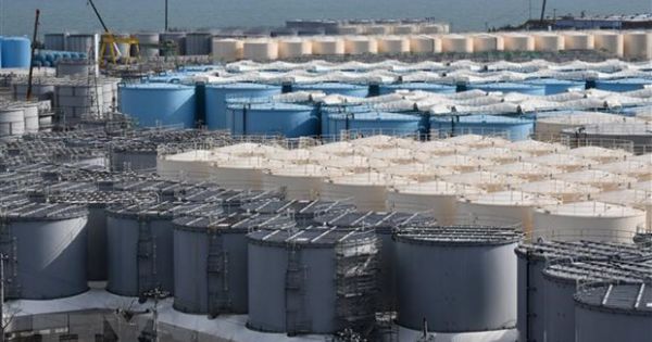 Các chuyên gia kêu gọi Nhật Bản rút lại kế hoạch xả thải nước nhiễm độc ra biển