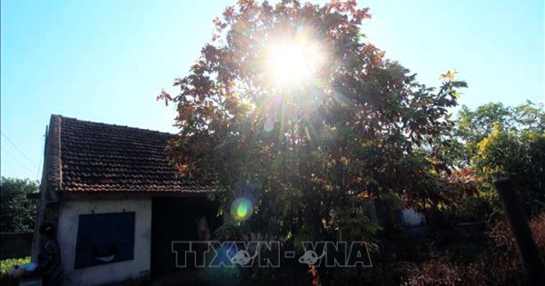 Chỉ số tia cực tím từ Bắc đến Nam đa số ở mức gây hại rất cao trong ngày 20/4