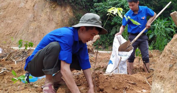Trồng hơn 3.000 cây xanh tại các điểm sạt lở Vườn quốc gia Phong Nha – Kẻ Bàng