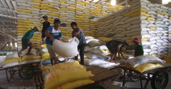 Hỗ trợ Sơn La hơn 59 tấn gạo kỳ giáp hạt