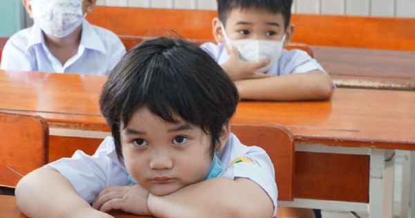 TP.HCM: Trường học phải mua các bộ SGK được Bộ GD&ĐT phê duyệt