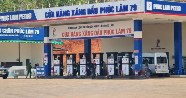 Đình chỉ kinh doanh một công ty liên quan đường dây xăng giả