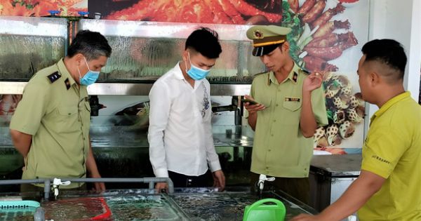 Vụ ốc hương giá 1,8 triệu đồng/kg chủ nhà hàng bị phạt hơn 13 triệu đồng