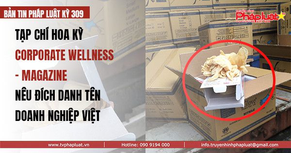 BẢN TIN PHÁP LUẬT - KỲ 309: Tạp chí Mỹ cảnh báo doanh nghiệp có dấu hiệu chiếm dụng vốn hàng triệu đô