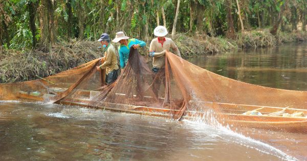 Chụp đìa - nét văn hóa đặc thù của Cà Mau