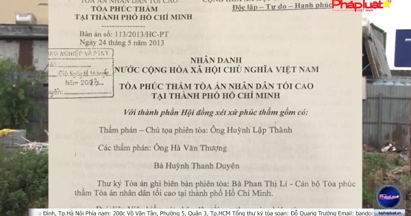 Chi Cục trưởng, Chi Cục thú y TP.HCM và Trạm Thú Y huyện Hóc Môn cố tình kéo dài thời gian, không thi hành bản án và chỉ đạo của UBND TP.HCM