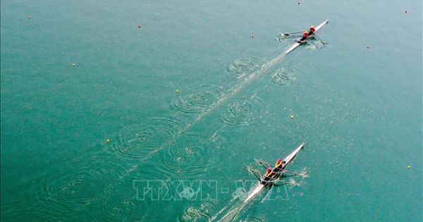 Thể thao Việt Nam giành suất thứ 7 dự Olympic Tokyo