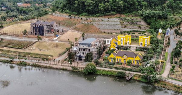 Xử lý sai phạm nhiều biệt phủ rừng Sóc Sơn: Buộc báo cáo trong tháng 6