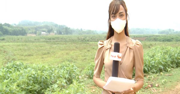 Quốc Oai, Hà Nội: Quyết định một đằng thu hồi đất một nẻo - phương án nào cho người dân?